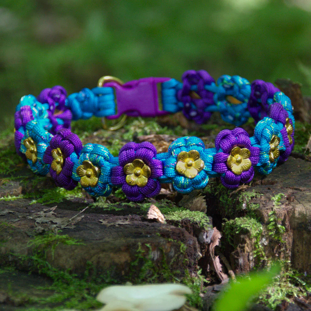 Collier Floral canin