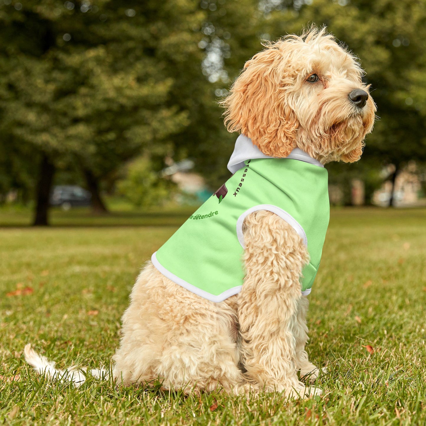 Chandail pour chien " Je ne suis pas paresseux"